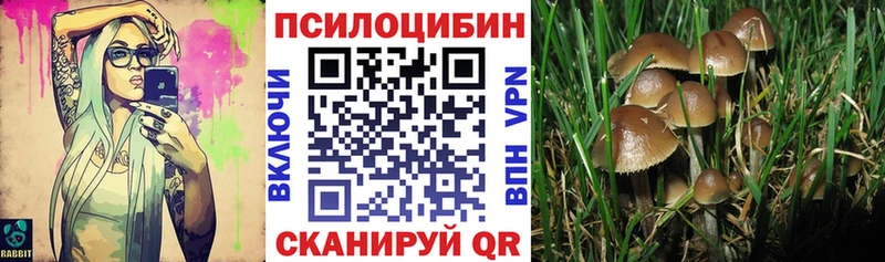 Купить  Старый Оскол  Галлюциногенные грибы MAGIC MUSHROOMS 